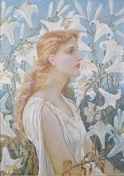 Gigli, 1893